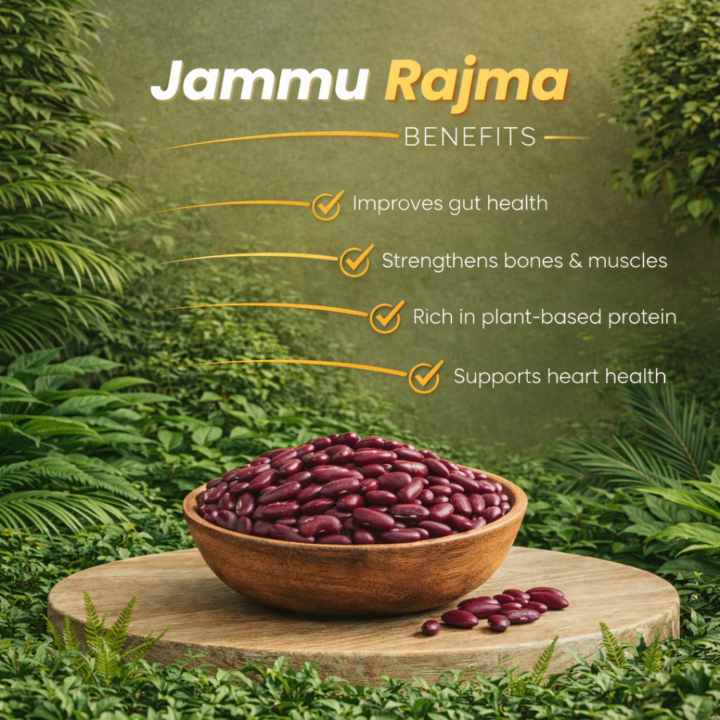 ChatGPT Image Mar 31, 2026, 02_27_01 PM